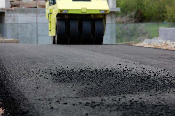 Best Custom Driveway Pavers  in Heber Springs, AR
